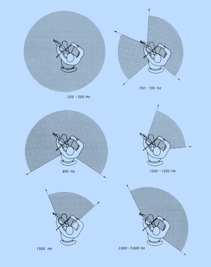 Polar Pattern of the Violin