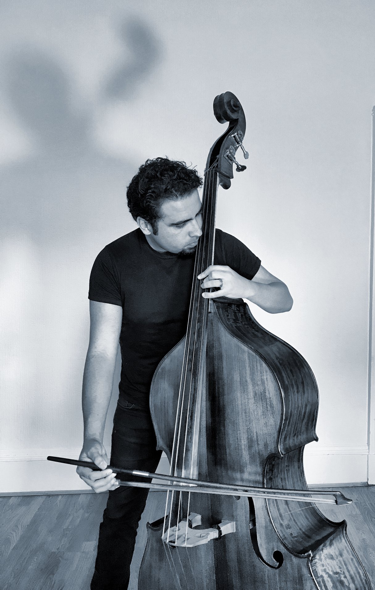 REMIC ARTIST - Manuel Figueroa-Bolvarán, double bass player