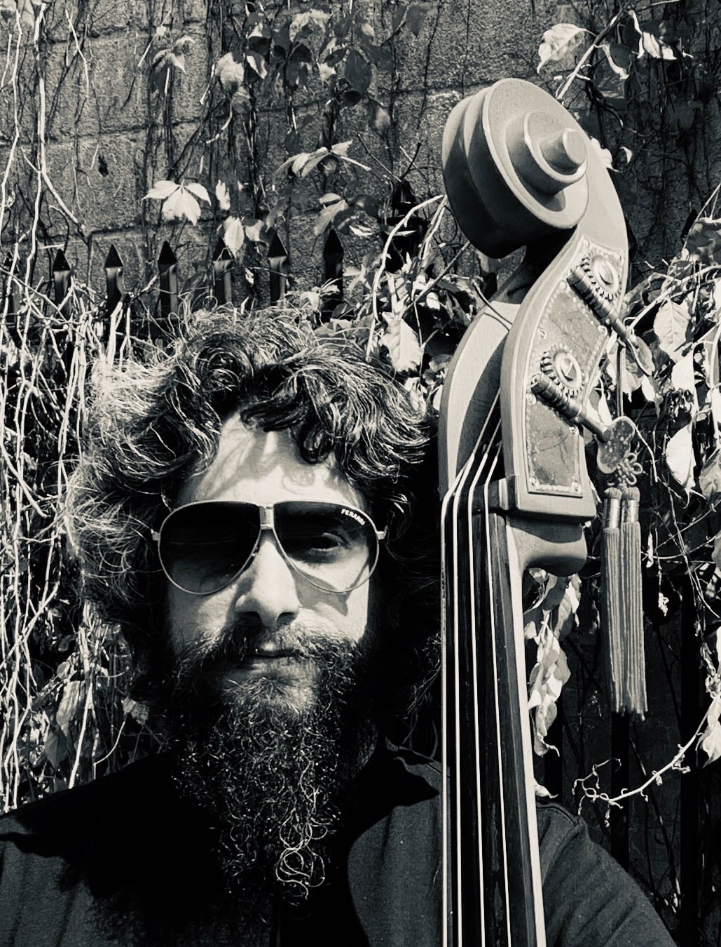 MIKE TEPPER, REMIC ARTIST, Double Bass Player, Educator, Music Director