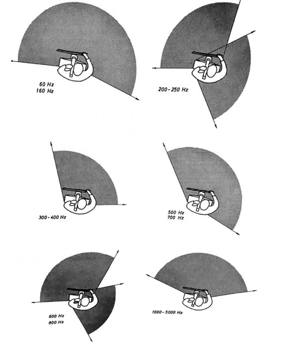 Polar Patterns of the Double Bass