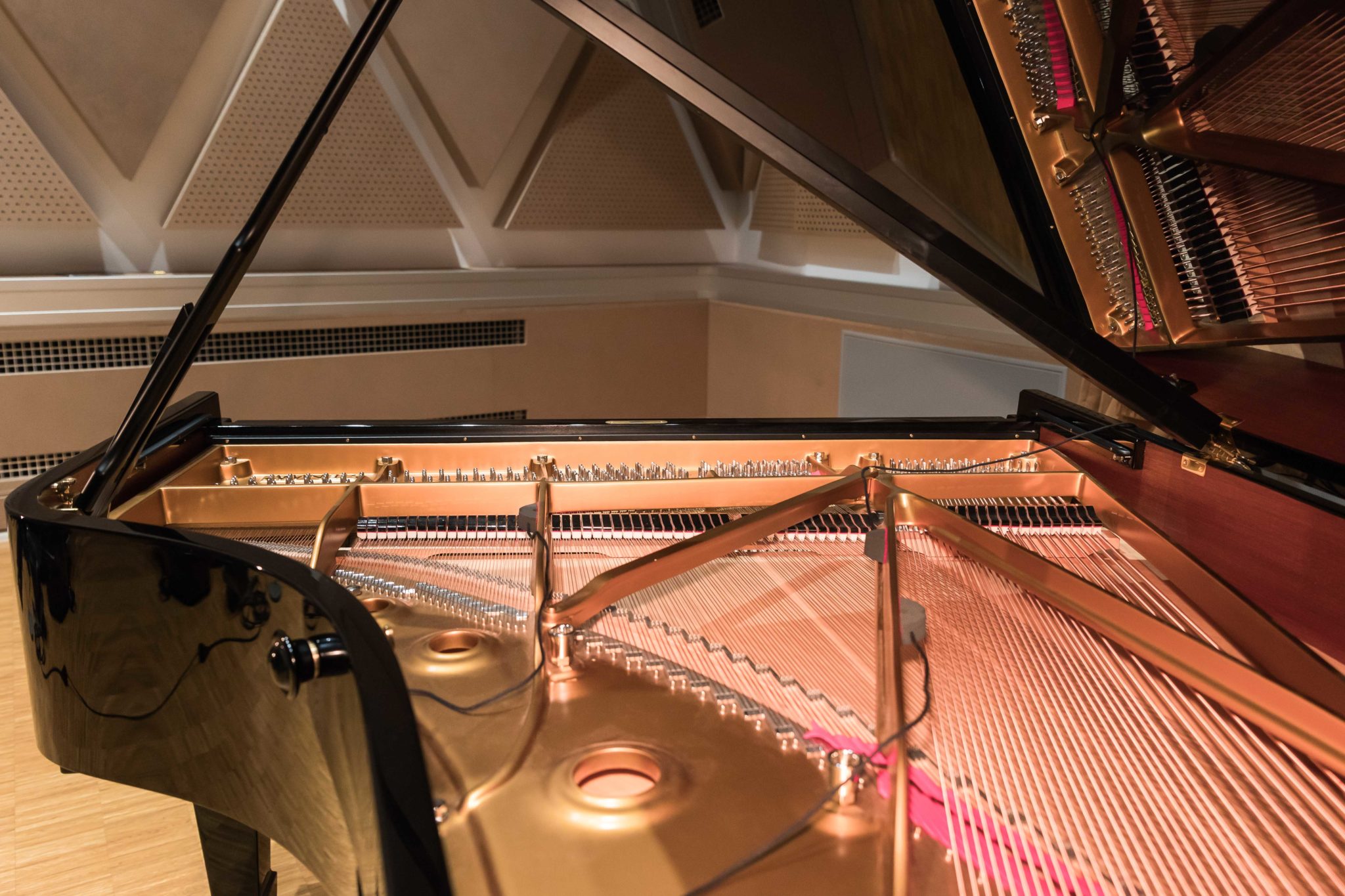 REMIC P6100 TRIPLE Kit Piano Microphones for Grand Piano