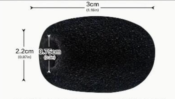 WI7000 Windshield
