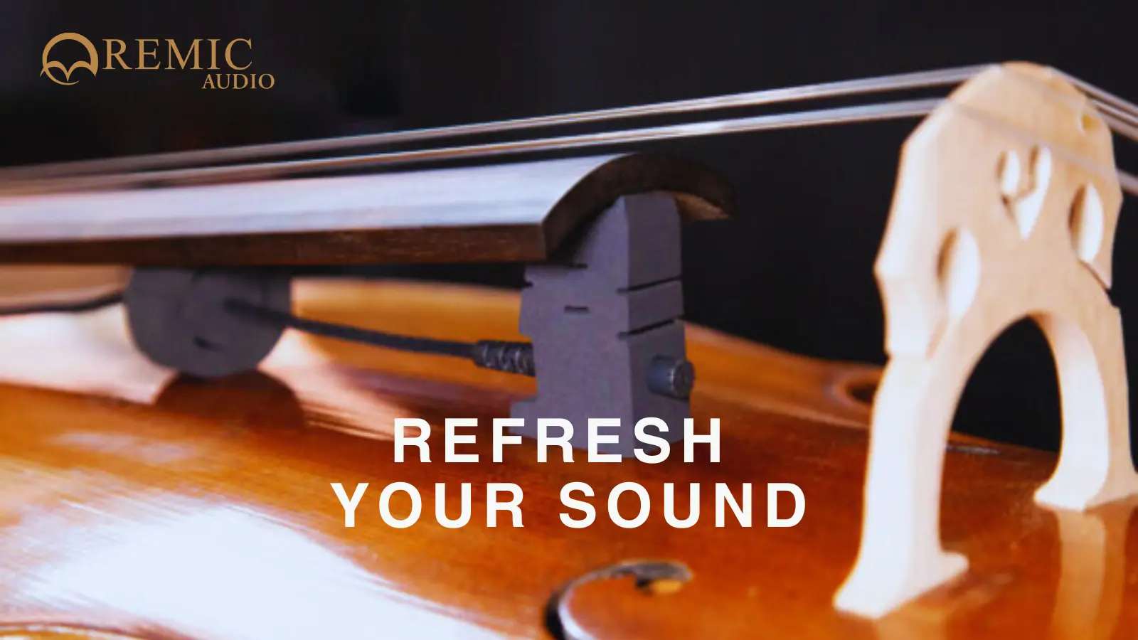 Refresh Your Sound Campaign. Get REMIC Microphones refurbished